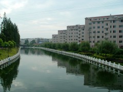 dsc04203 2.jpg